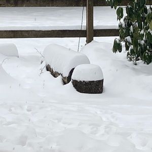 Meet your Posher, Casey